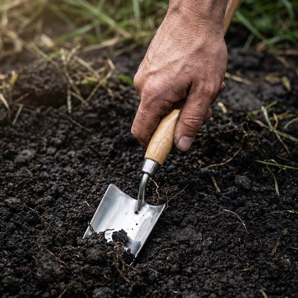 Gartenkelle mit Holzgriff, 2 Stück Edelstahl-Gartenwerkzeug, robuste Handschaufel zum Pflanzen, Graben und Jäten