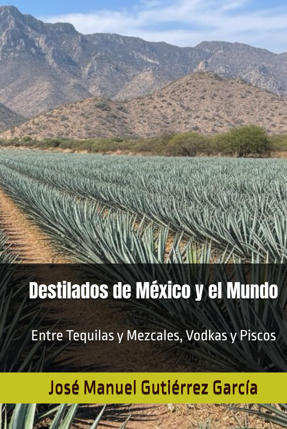 Destilados de México y el Mundo: Entre Tequilas y Mezcales, Vodkas y Piscos