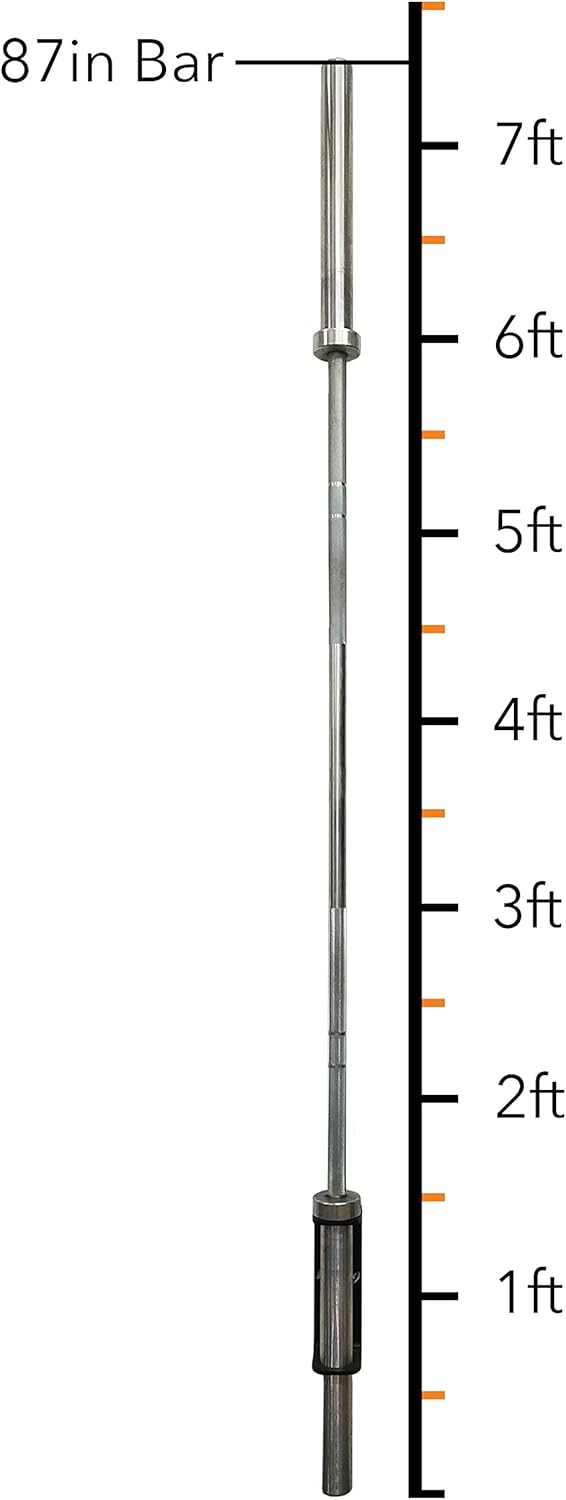 PRx Performance Vertical Barbell Storage Rack - Wall-Mounted, Space-Saving Single Weight Bar Holder for Efficient Organization in Home or Commercial Gyms, Durable, Easy to Install, USA Made, Black