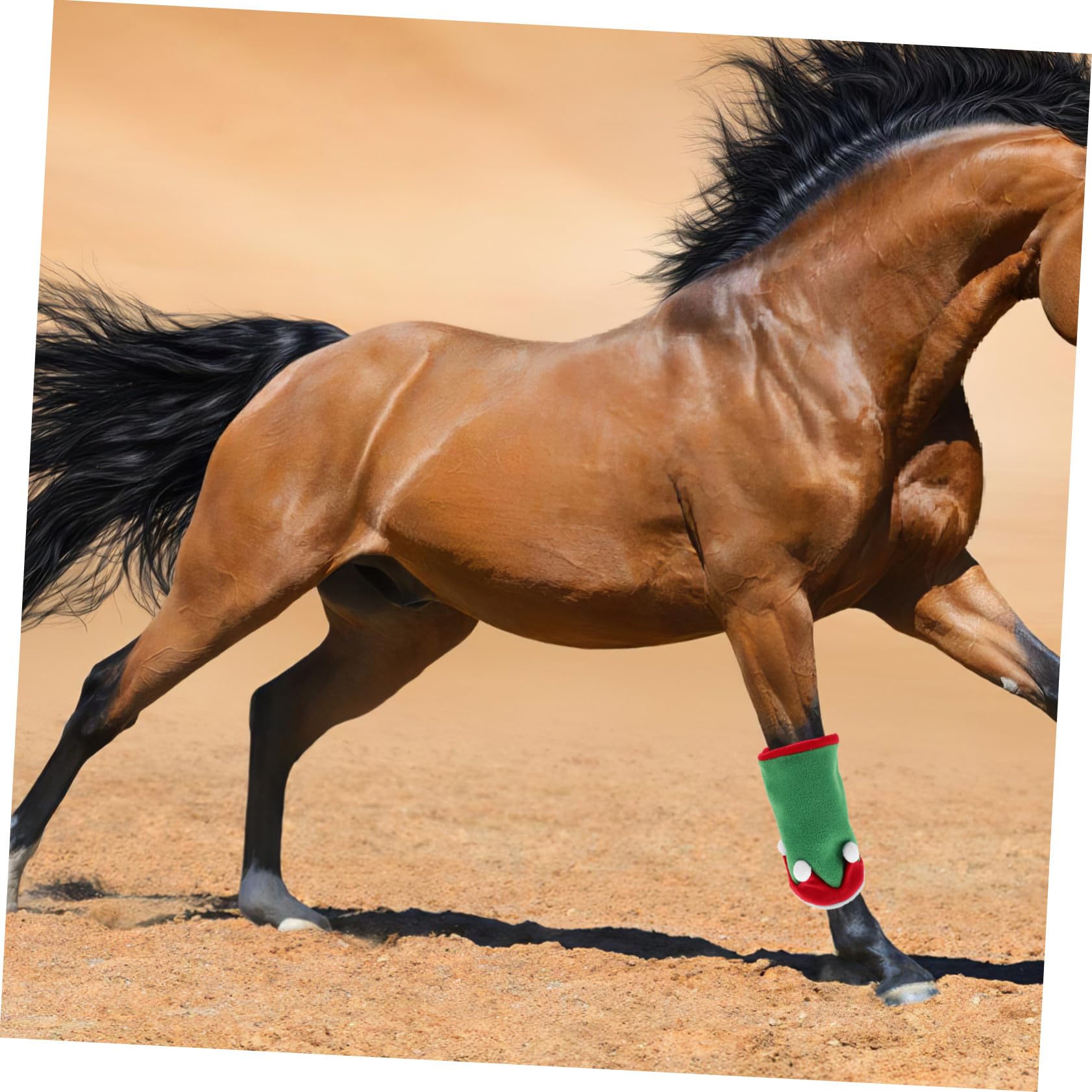 Decorazione per Feste con Cappello e Protezioni Gambe Leggeri e Traspiranti per Estivi e Parate Natalizie Accessori Comfort per