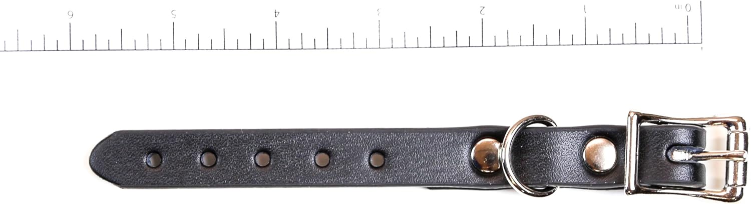 leather belt extender