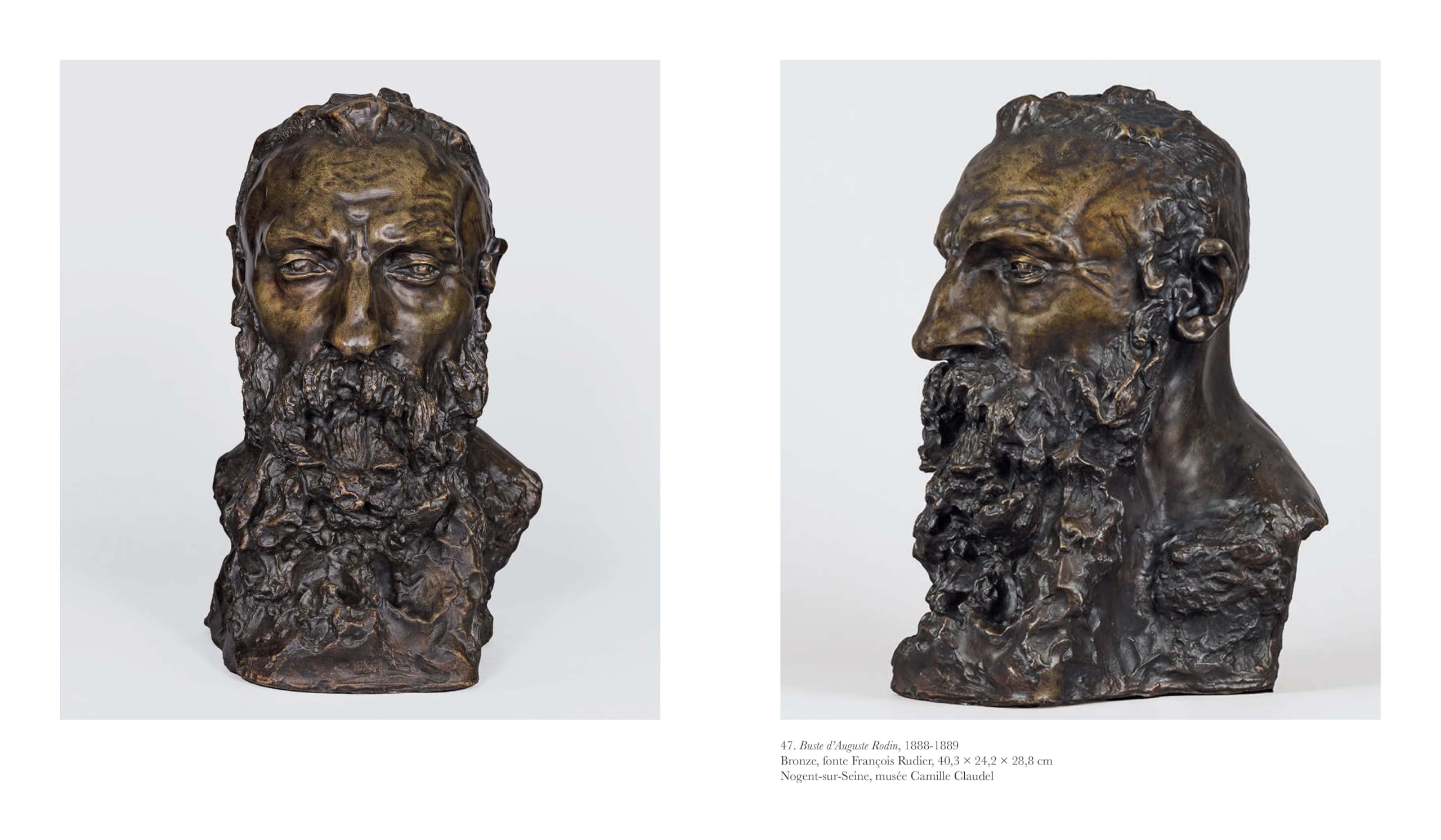 Camille Claudel. Sa vie. Nouvelle édition