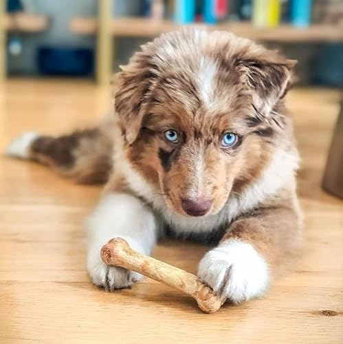 Miniatura 3 de Nylabone Healthy Edibles - Paquete variado de premios naturales de larga duración para perros pequeños, 34 unidades, sabores de carne asada y pollo,