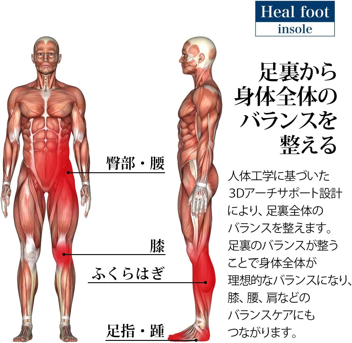 Heal foot インソール 人体工学に基づいた3Dアーチサポートインソール (S)