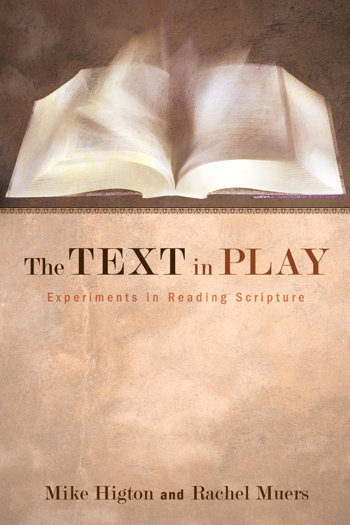 The Text in Play by Higton, Mike  New 9781610978590 Fast Free Shipping<-