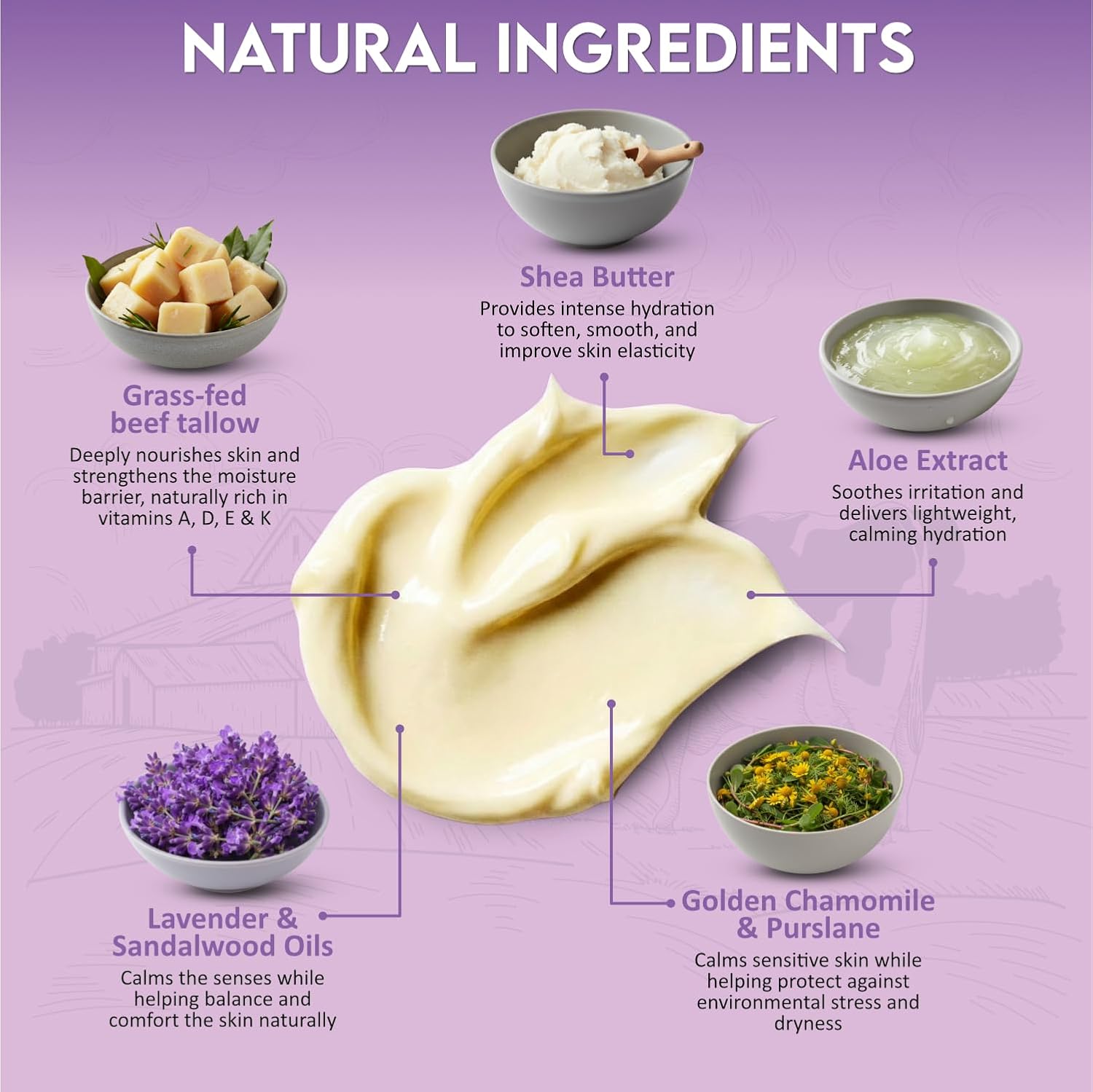 Beef Tallow for Skin, Whipped Beef Tallow Balm for Face & Body with Shea Butter and... - Image 3