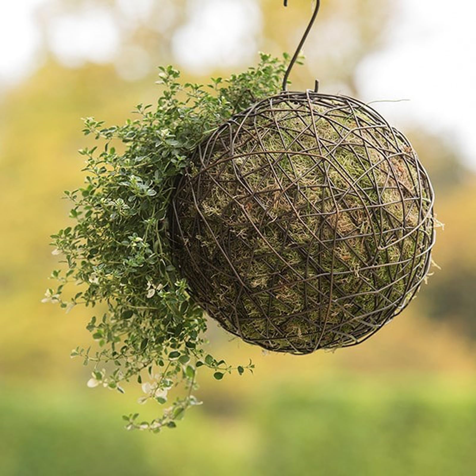 Crocus Collection 16cm Hanging Wire Ball Living Sculpture Garden Ornament Rustic Outdoor Chic Decoration