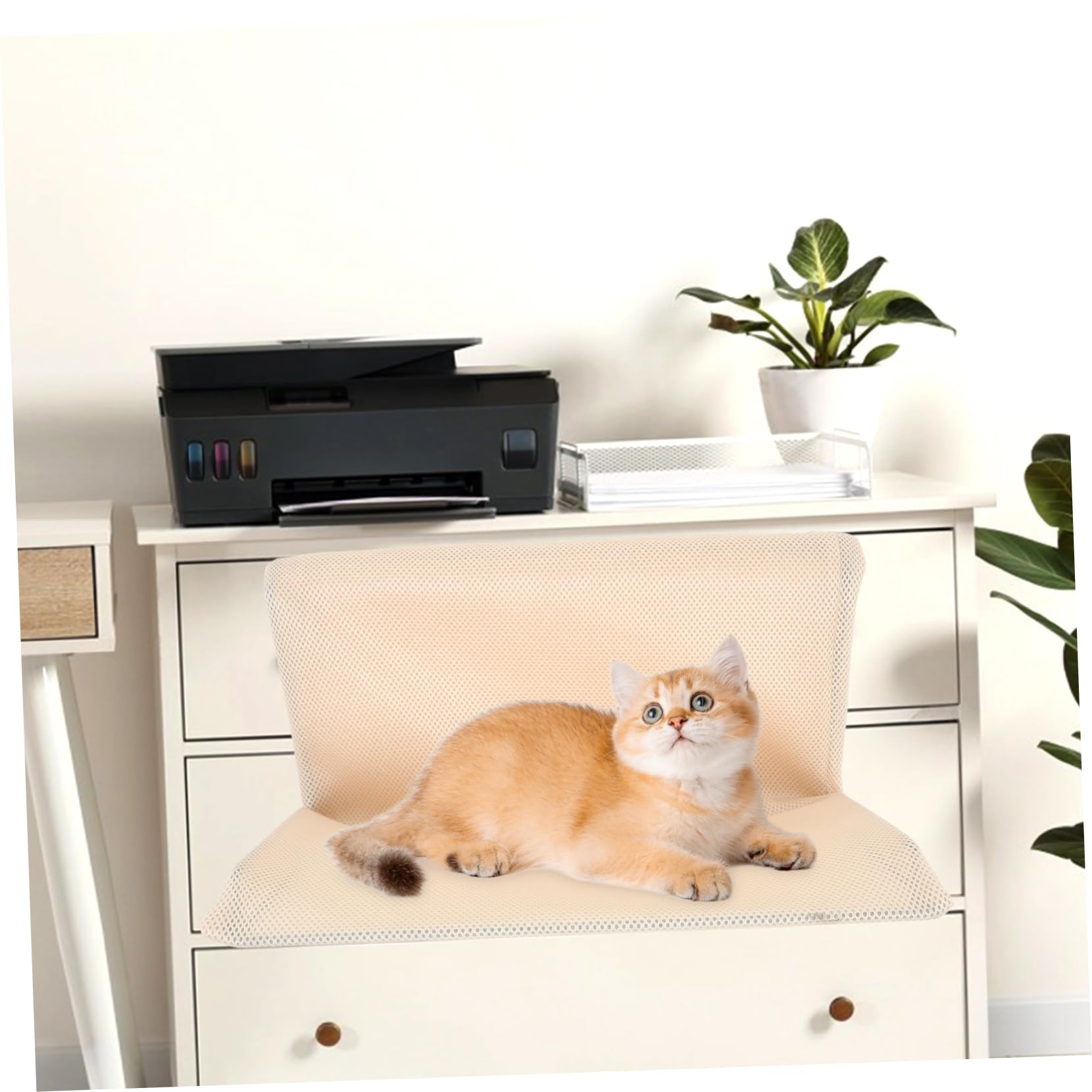 WOONEKY Hamac pour Chat Suspendu Perchoir De Fenêtre Isolé Chaud Et Détachable pour Un Entretien Facile