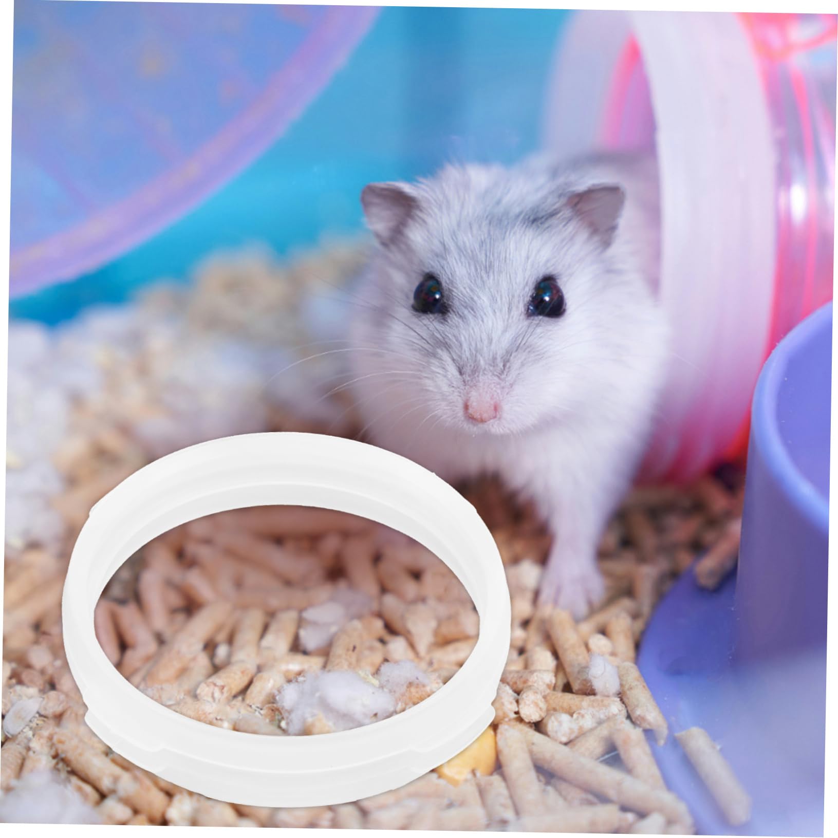 Kisangel 40stücke Hamster Tunnel Verbindungsringe Verbindung Für Kleintiere Geeignet Für Meerschweinchen Zwerghamster Und Andere Haustiere Installieren Und Sicher Im Gebrauch