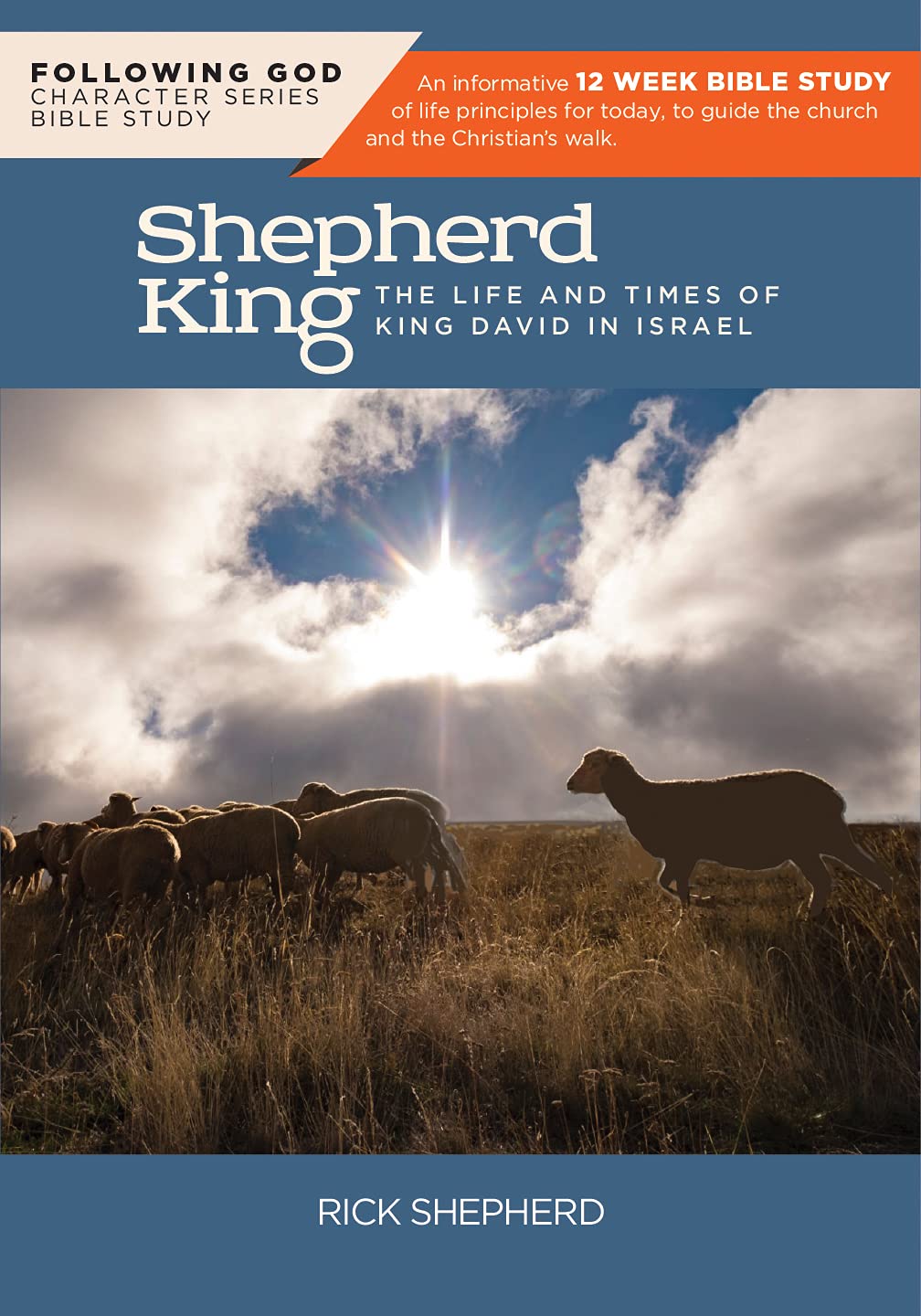 David, the Shepherd King: The Life and Times of King David in Israel (Following God)