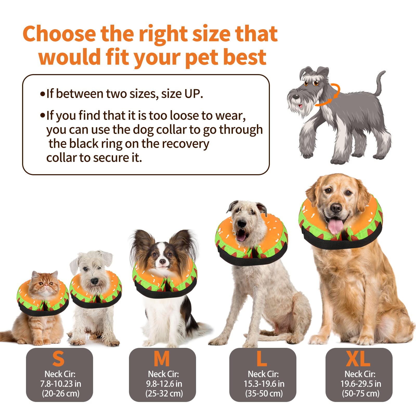 Collare Protettivo Per Cani E Gatti Taglia XL - Morbido E Regolabile