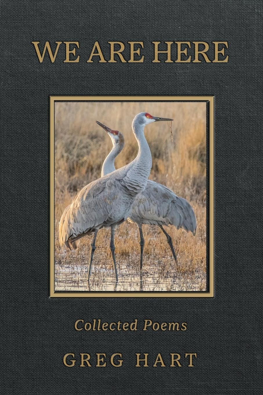 We Are Here: Collected Poems