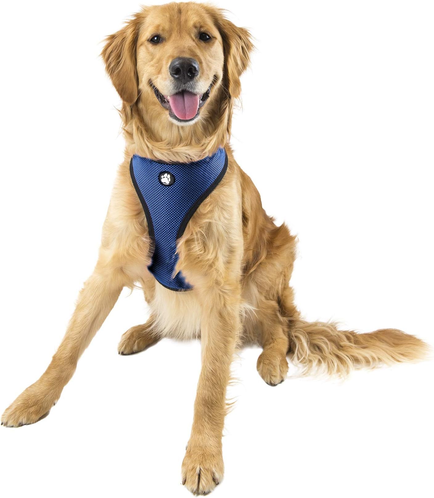 Furhaven Pet Dog Collar | Adjustable Padded Lightweight Breathable Mesh Pet Harness Vest for Dogs & Cats - Available in Multiple Colors & Sizes