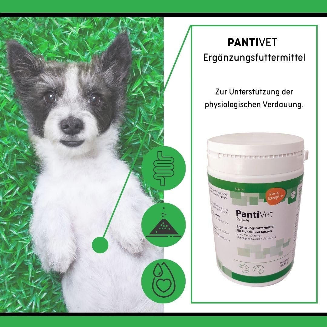 PantiVet Pulver für Hunde und Katzen – Kann zur Verdauungshilfe & Magen-Darm-Stabilisierung bei Hund und Katze beitragen, Ergänzungsfuttermittel mit Flohsamenschalen, Ananas & Banane, 500g