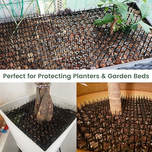 Miniatura 3 de Ley's Paquete de 12 alfombrillas disuasorias para gatos, 6 x 8 pulgadas, con púas, mantiene a los gatos alejados de las plantas, muebles