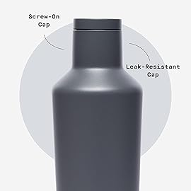 Corkcicle Classic Canteen - Keeps Drinks Cold for 25 Hours - Triple-Insulated Stainless Steel - Dishwasher Safe - Summer Drinkware Gift - Keeps Drinks Ice Cold - 16 oz - Flint