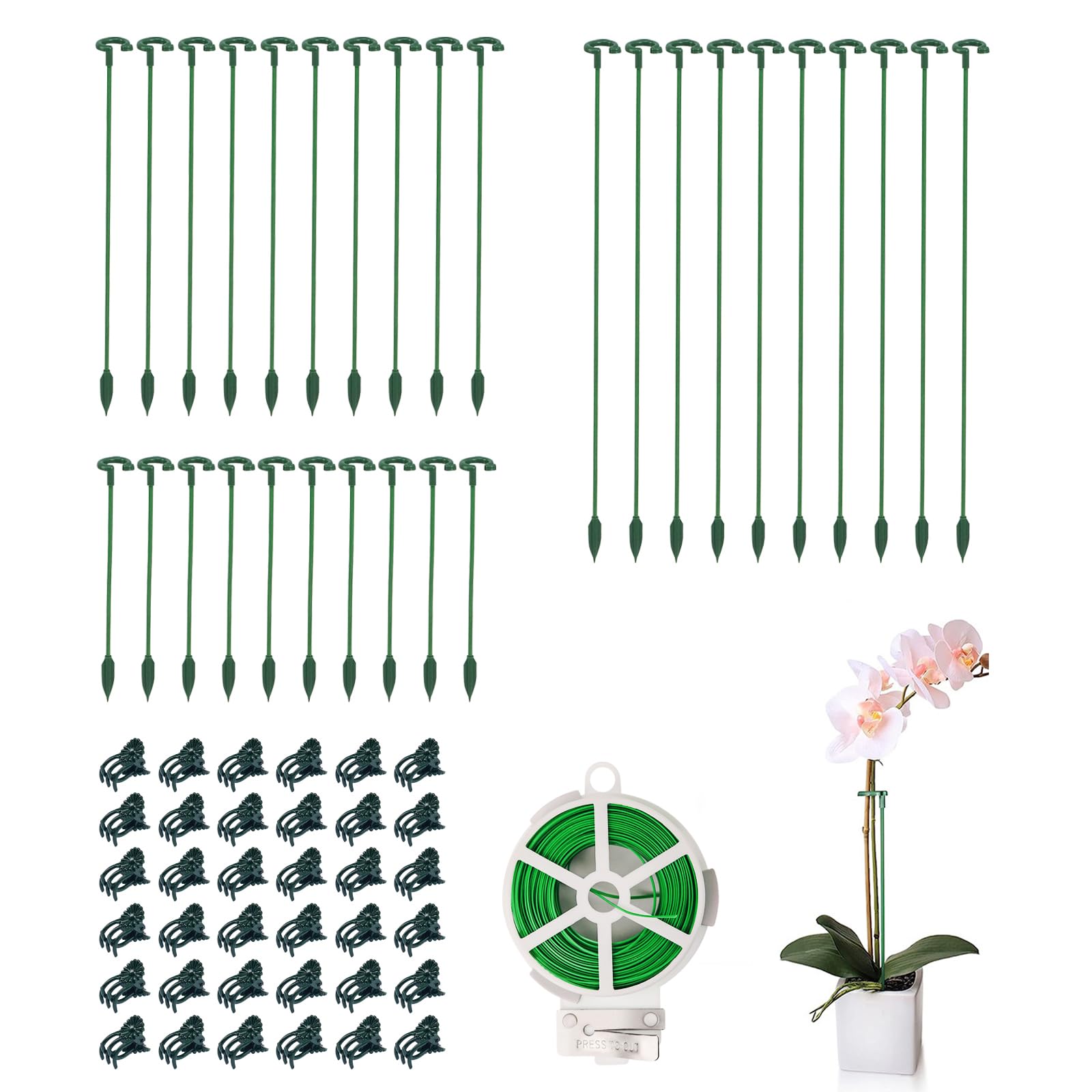 Piquets pour plantes d'intérieur discrets à 3 tailles ajustables pour tuteurer les plantes grasses