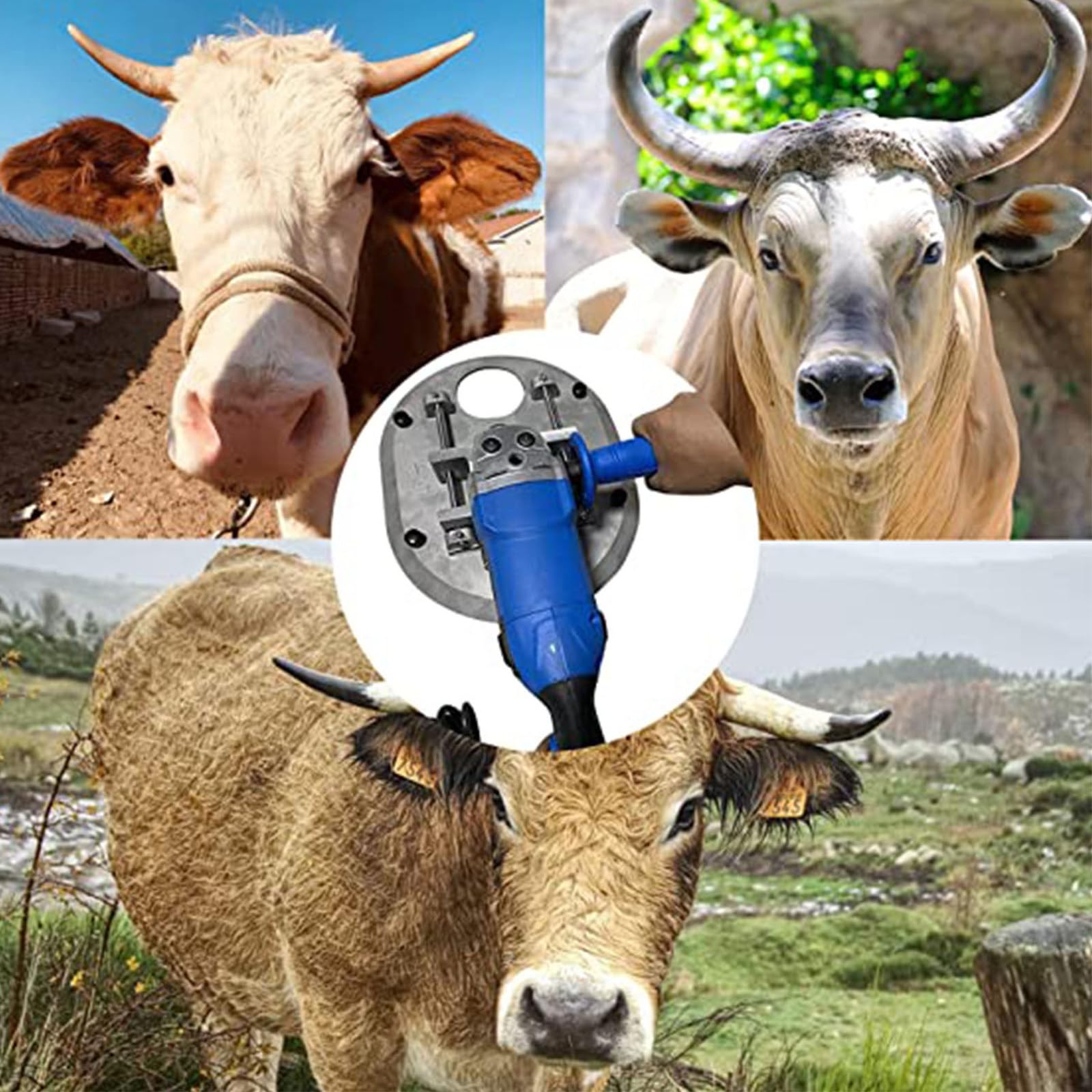 Descornador eléctrico, Equipo de cría de Ganado, Herramienta agrícola, Utilizado para Reducir Las Posibilidades de peleas de Ganado, para Ganado, Evitar Lesiones al Ganado,Red