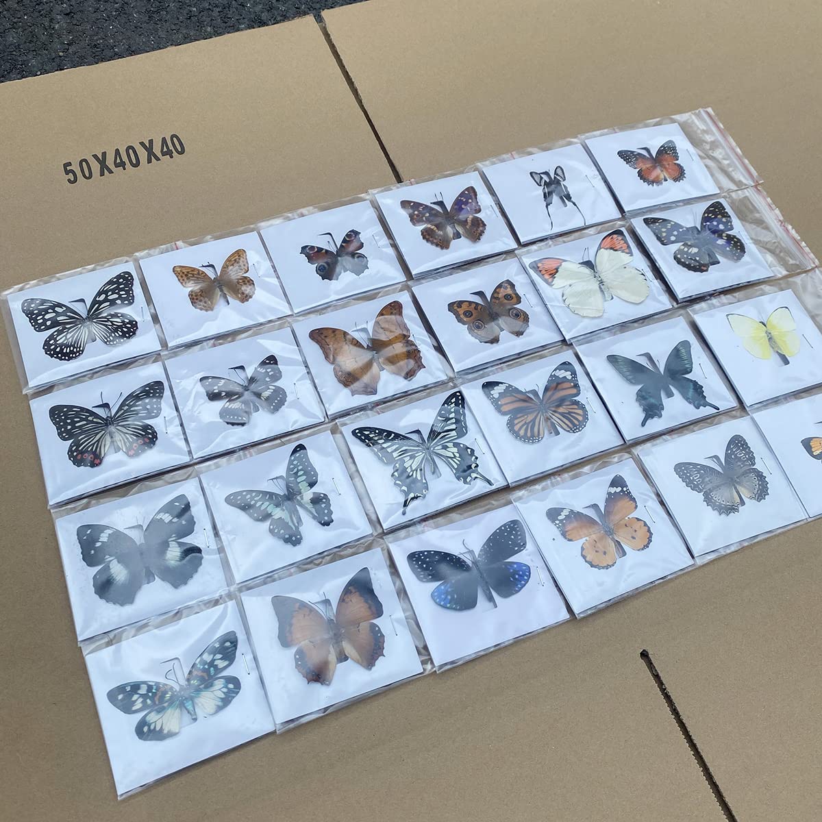 20 Pcs Real Taxidermy Butterfly - Butterfly Specimen Artwork Material Decor, Taxidermy Animals Satisfy Oddities and Curiosities