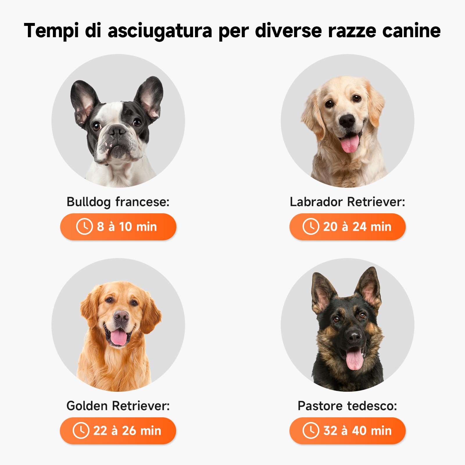 Soffiatore per Cani Blower, Asciugatore per Cani a velocità Regolabile - con modalità Caldo/Freddo, Phon Cane con 3 Diversi Ugelli per Uso Privato e Professionale