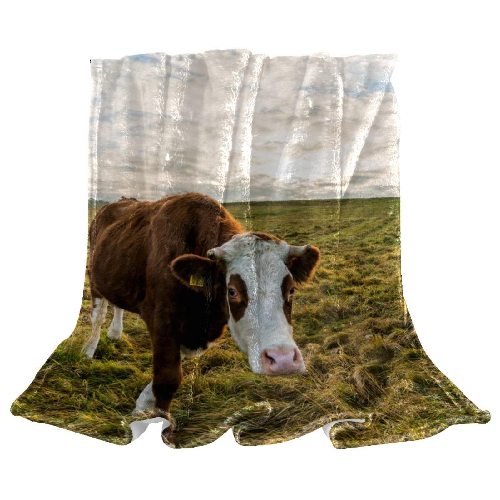 Couverture polaire douce plaid chaud isolant lits et canapés