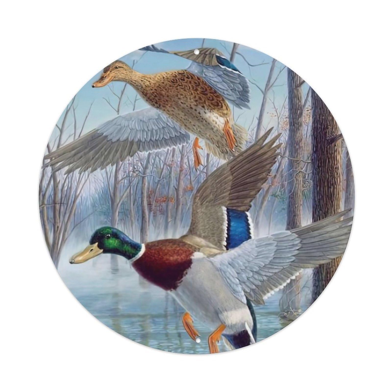 Animal Artwork Two Ducks Vintage Metal Tin Sign Plaque Wall Decor for Cafe, Club Bar, Office, Garden Metal Poster 8x8Inch