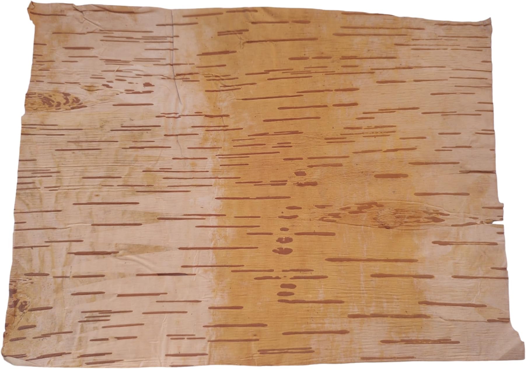 BHAVICREATION Bhojpatra 12 PCS Betula Birch Bark Sheets for Writing Sacred Mantras 4 x 6 Inch Small Paper Yantra