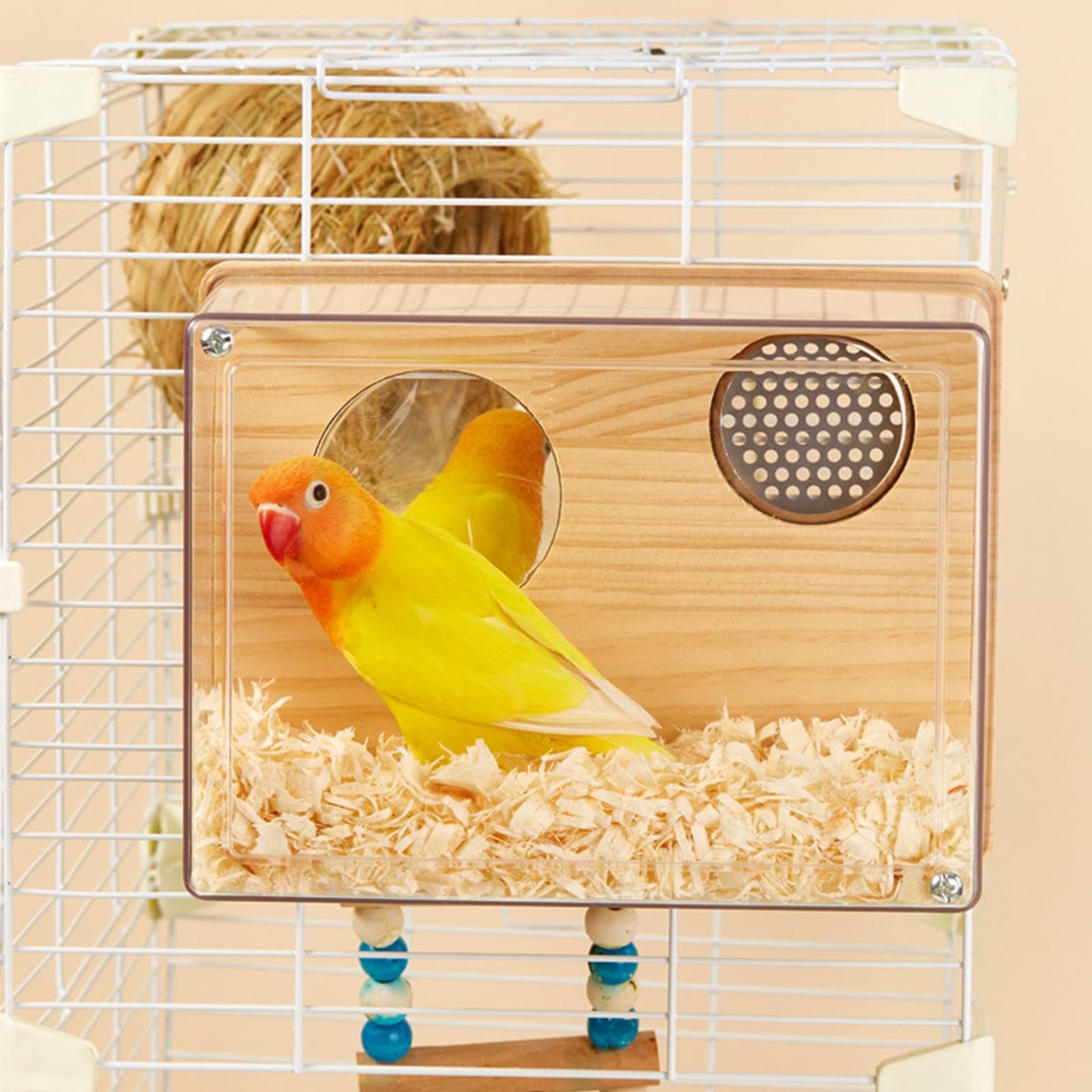 Vogel-Nistkasten Aus Kiefernholz – Transparente Brutbox Mit Sitzstange Für Wellensittiche, Nymphensittiche & Kleine Vögel