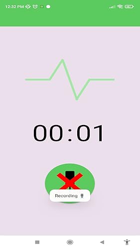 Simple Audio Recorder
