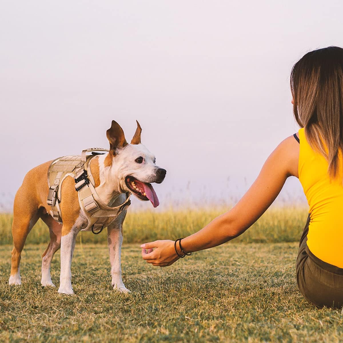 EAmber Tactical Dog Vest Harness Heavy Duty Dog Pet Working Vest Easy Control for Medium Large Dogs for Hiking Training Outdoor Dogs