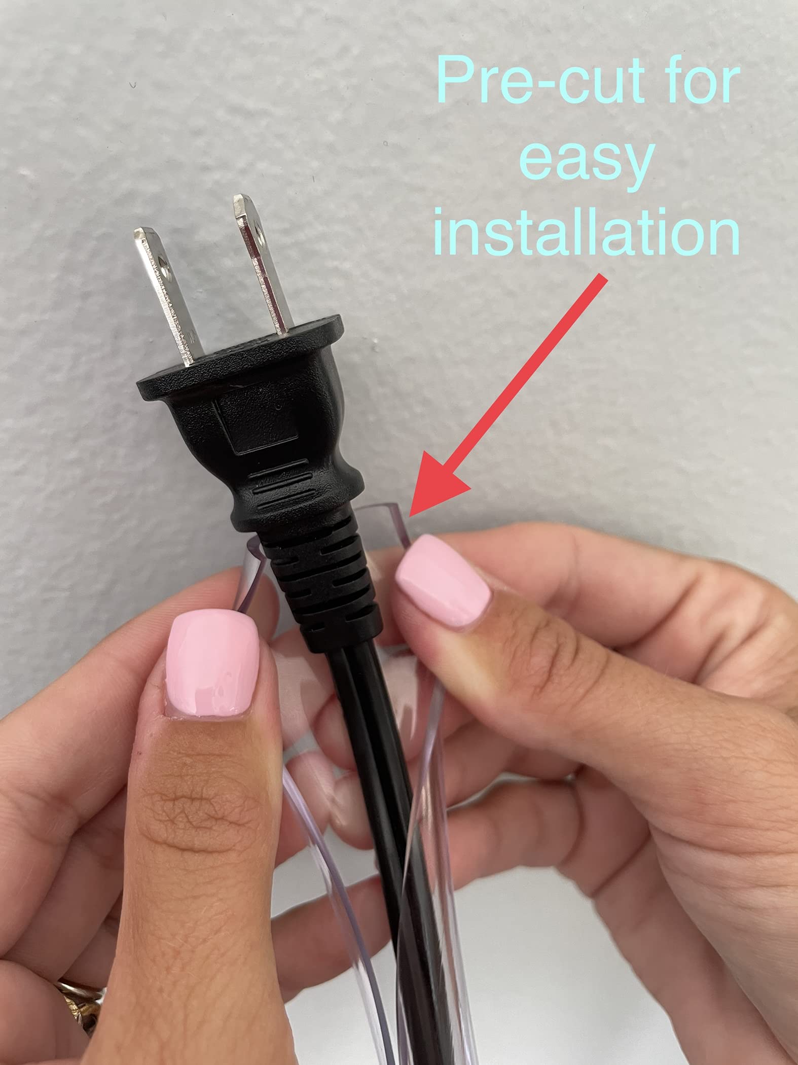 united airlines fly dogs