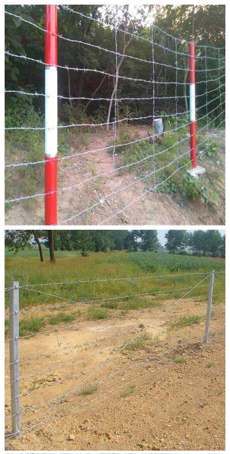 Drut kolczasty rolka drutu kolczastego 10 m 50 m 80 m 100 m 200 m 300 m, 16 rozstaw kół drut kolczasty drut kolczasty do ogrodzenia, kija baseballowego, karmnika dla ptaków, ogrodu i rzemiosła