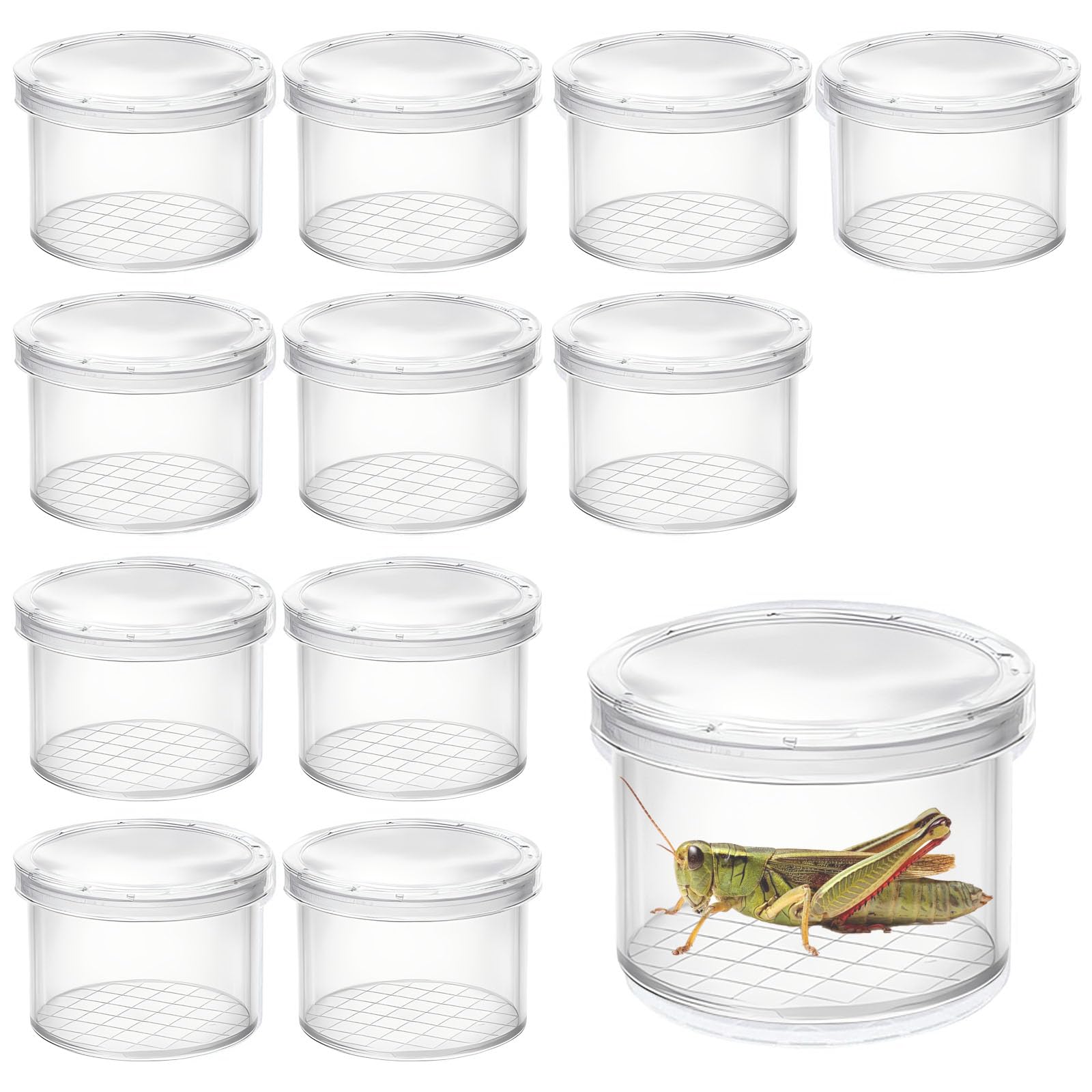 Bug Catcher, 12 Bug Box Set for Bug Hunting Kits, Nature Exploration and Science Learning, 4x4x3cm Observation Containers for Outdoor Activities