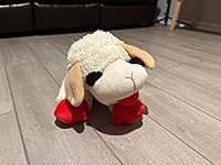 Review Image by David Scott