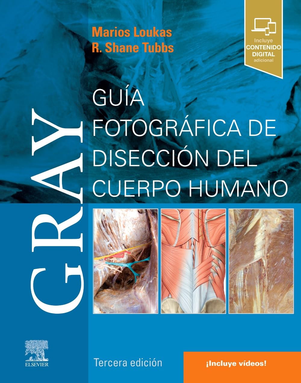 Gray. Guía fotográfica de disección del cuerpo humano (3ª ed.)
