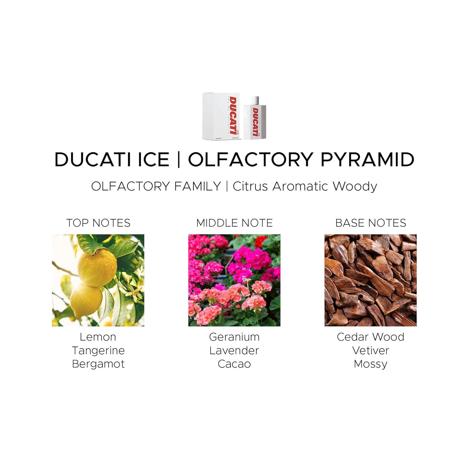 Ducati Ice by Ducati - Fragrance for Men - Woody Aromatic Scent - Opens with Tangerine, Lemon and Bergamot - Blended with Lavender and Sage - Perfect for Young-Spirited Gentleman - 3.4 oz