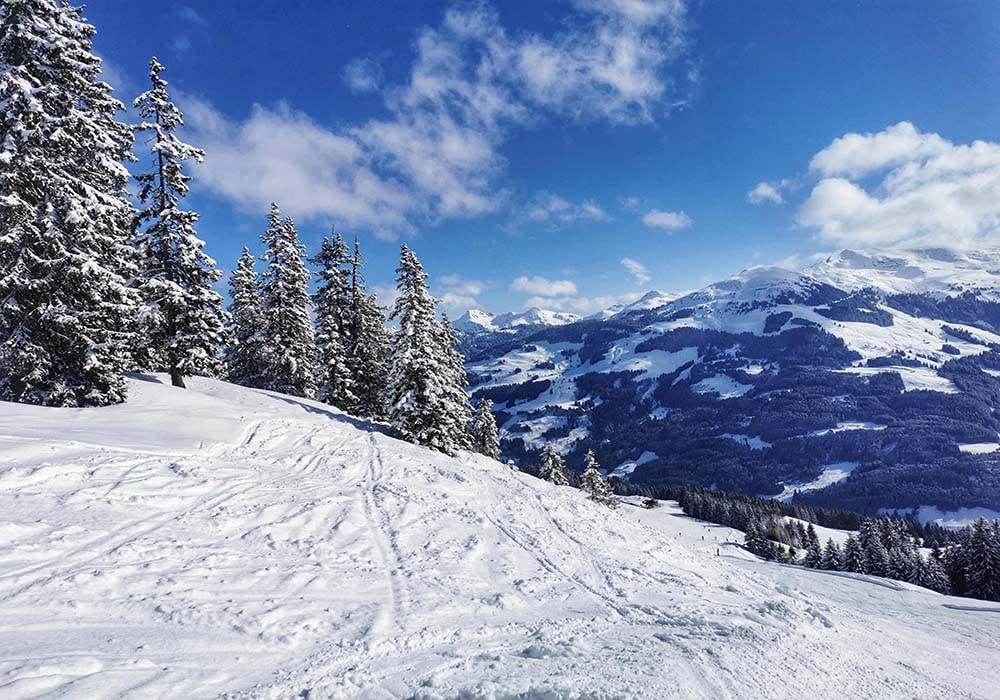 Merry Christmas Backdrop for Photography 9X6FT Heavy Snow Backdrops PineTree Forest Snow Landscape Winter Wonderland Xmas Background for Happy New Year's Eve Photo Studio Props Vinyl BK7686
