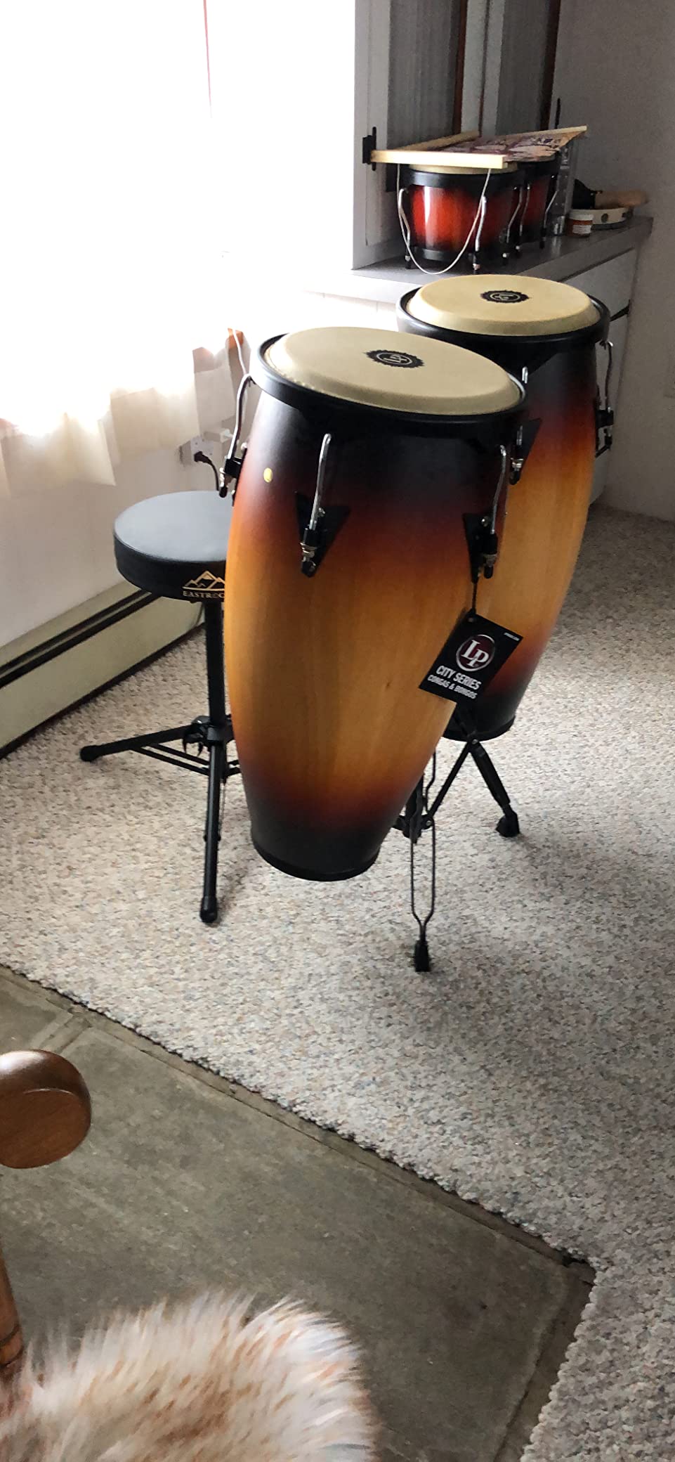Latin Percussion Conga-Set Aspire Vintage Sunburst – 2 Congas Mit Ständer, Aus Siameiche