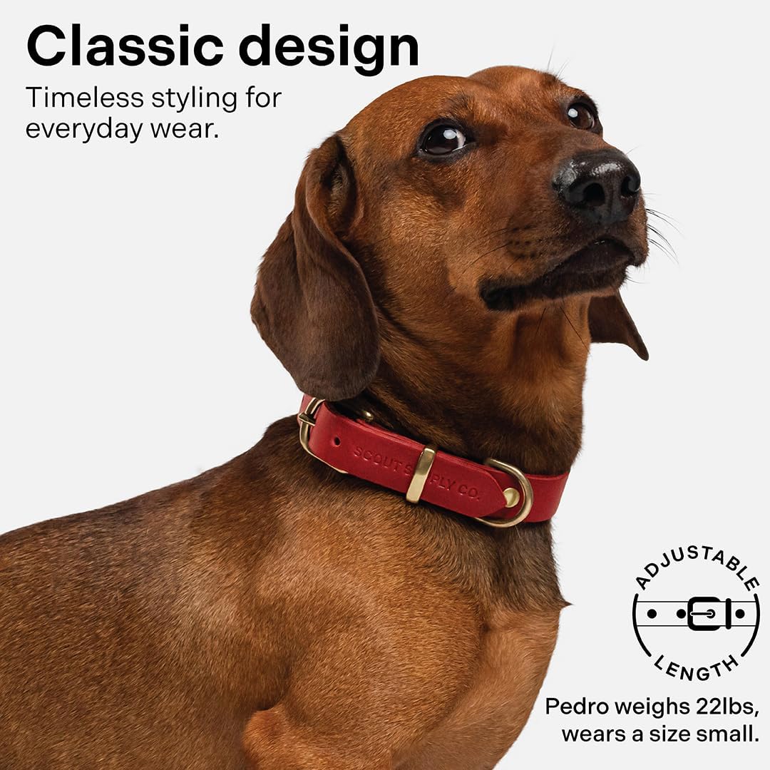 Classic Genuine Leather Dog Collar | Dog Collars for Medium Dogs, Small Dogs, Large Dogs & Extra Large Dog | Wide Dog Collar | Heavy Duty Collar | Red (S: 0.8" Wide for 10.5"-13.5" Neck)