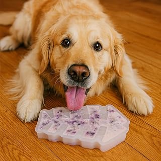 7.5IN Big Fish Bone Dog Cat Treat Mold 1 Pack, DIY Flavors for Puppy.