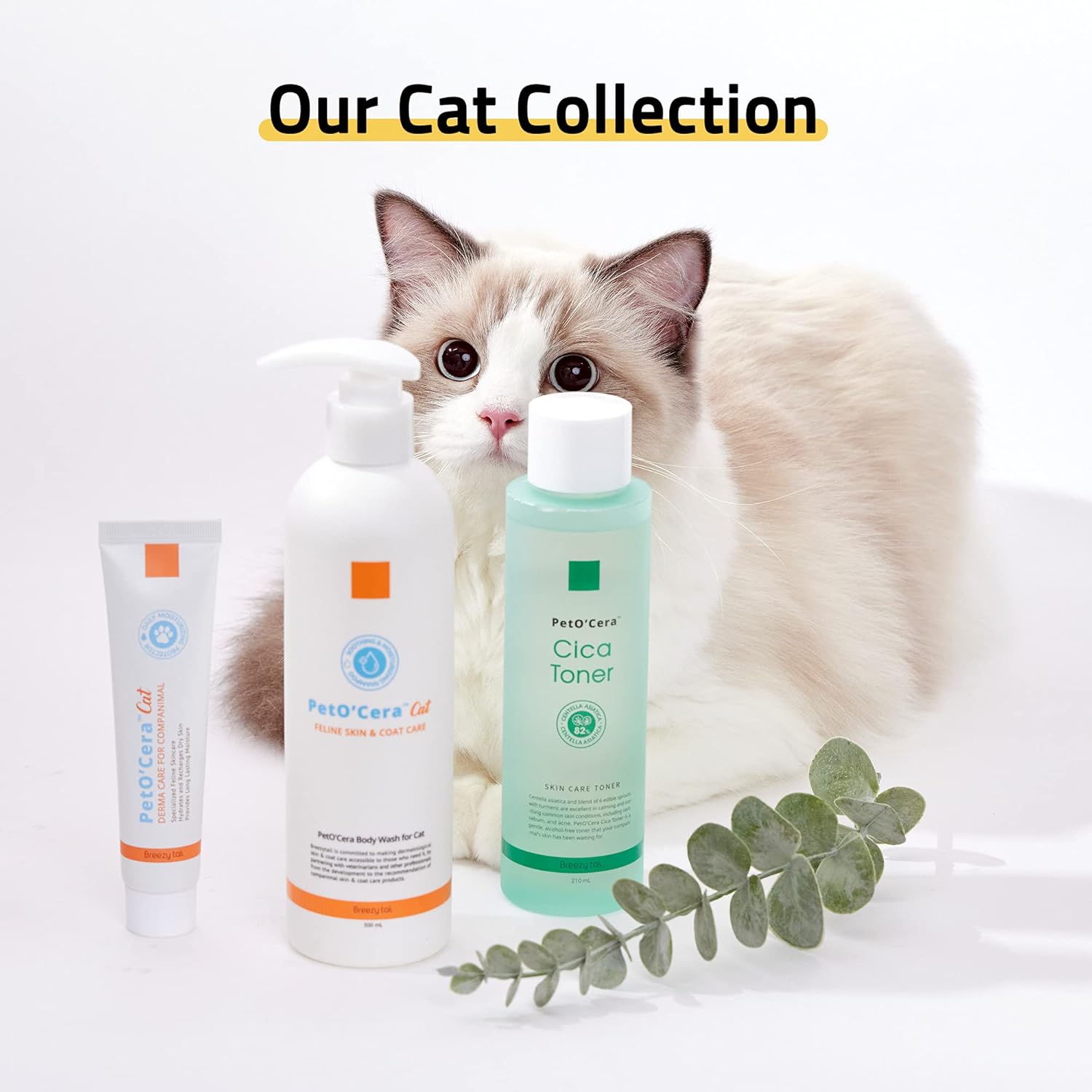 Breezytail PetO’Cera Cat Shampoo | Body Wash for Cat Bath - Hypoallergenic Feline Skincare Shampoo | Skin, Coat & Fur Care Shampoo for Cats | Veterinarian Approved and Formulated Shampoo for Cats : Pet Supplies