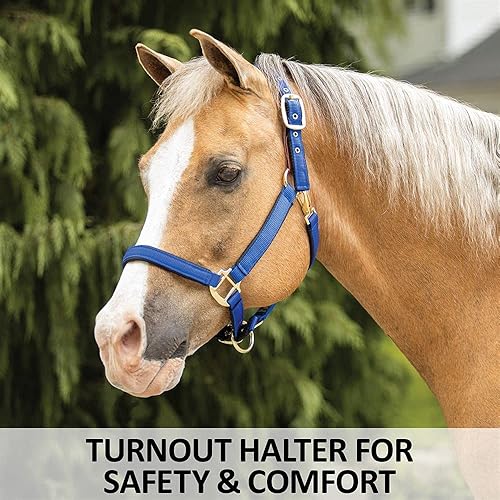 Miniatura 2 de Cabestro de caballo totalmente acolchado de lujo  Superposición de tela de nailon de doble capa de 1 pulgada  Hardware resistente  Ajuste semi