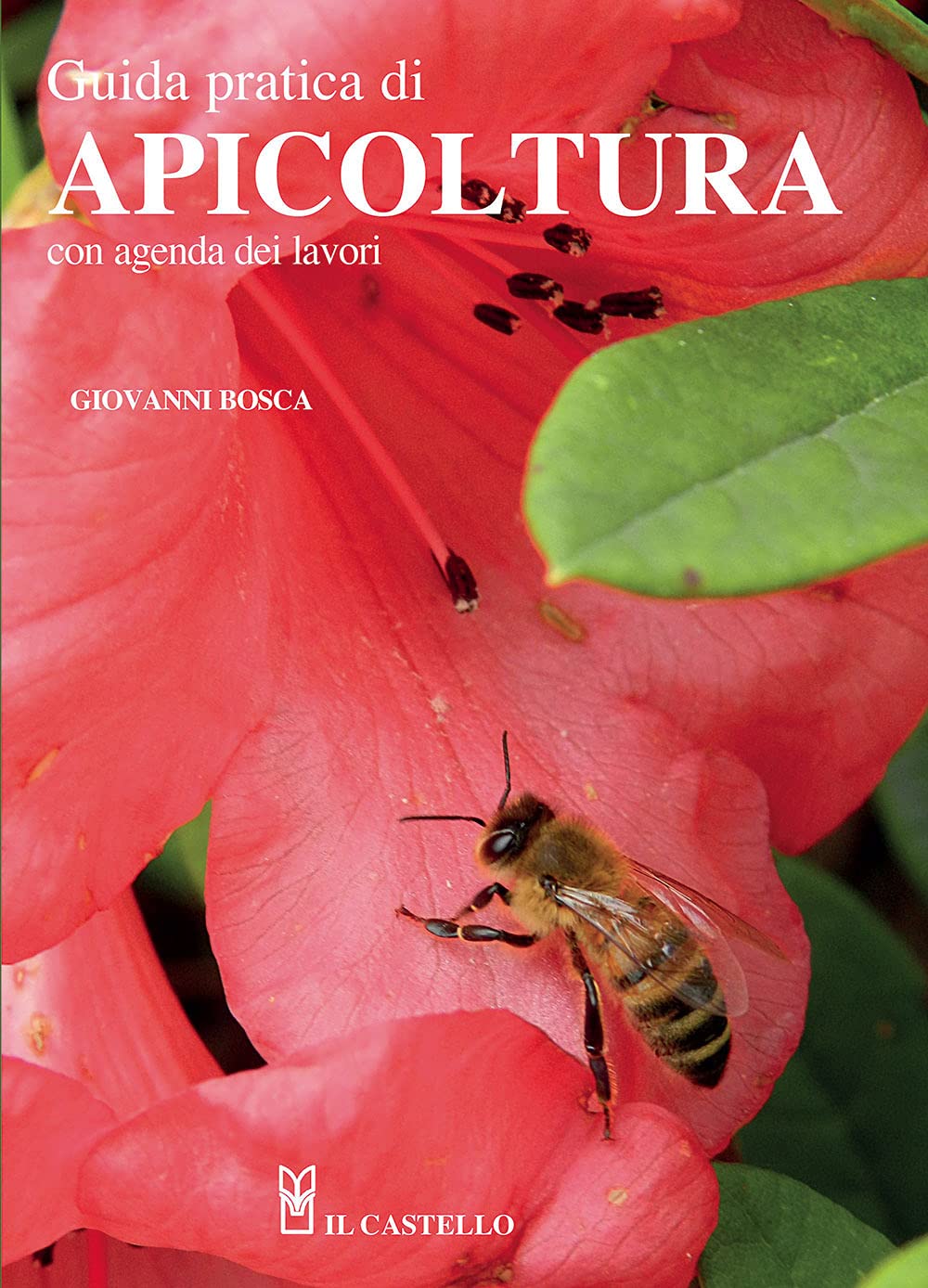 Guida pratica di apicoltura. Con agenda dei lavori. Nuova ediz.