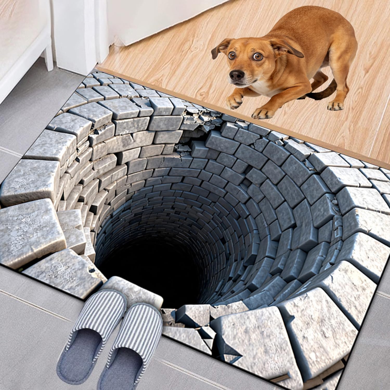 3D Illusion Rug, Illusion mat,Easy Clean Non-Slip,3D Rugs for Living Room,Rug That Looks Like a Hole,for Bedroom, Living Room, Porch, Patio Porch Entryway(24 * 35In, C)