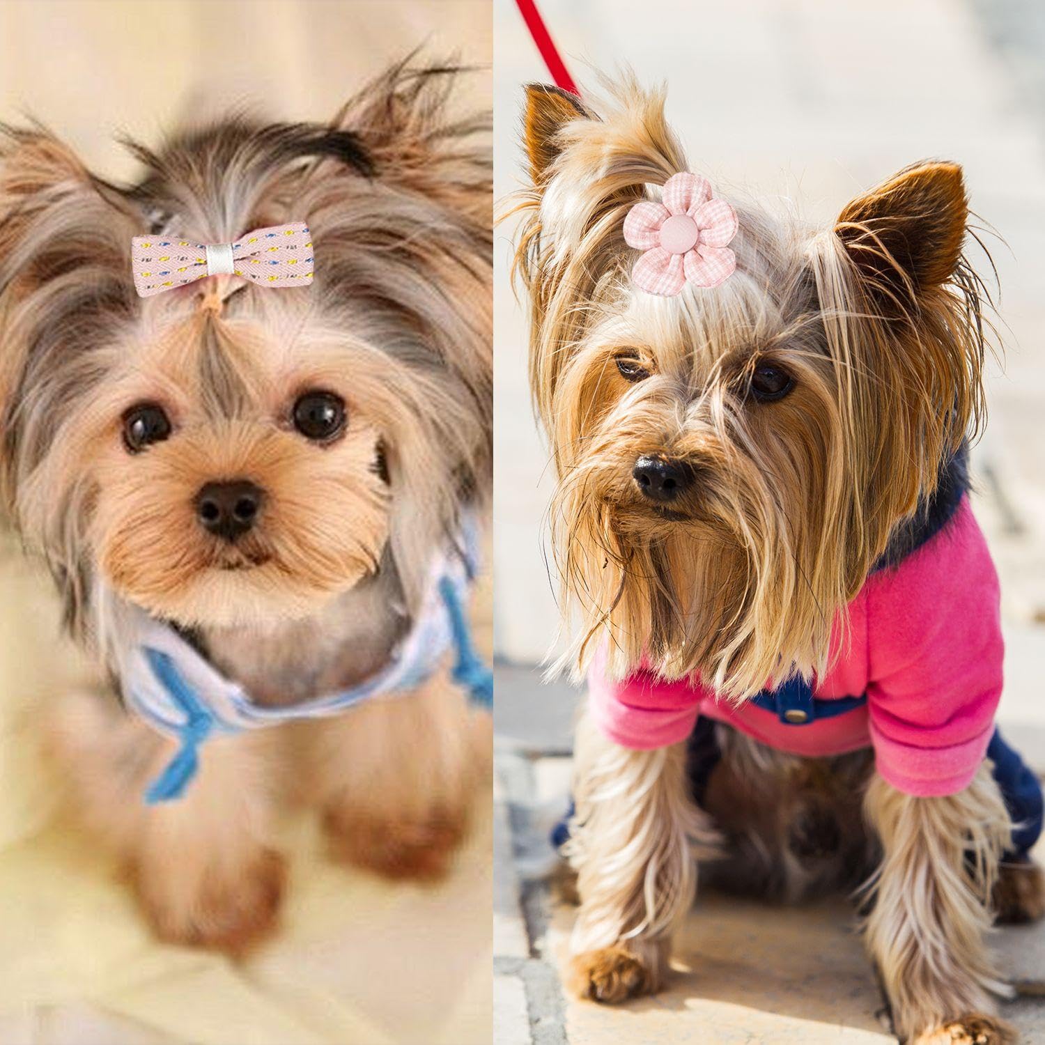 10 Morceaux De Poils d'animaux, Accessoires De Cheveux pour Animaux De Compagnie, Anneaux De Cheveux Mignons, Anneaux De Cheveux Élastiques Et Fournitures pour Animaux De Compagnie.