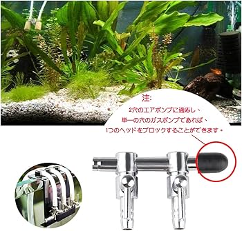 Amazon.co.jp: WanFengXue 2個入り エアチューブ 分岐 Amazon.co.jp: WanFengXue 2個入り エアチューブ 分岐