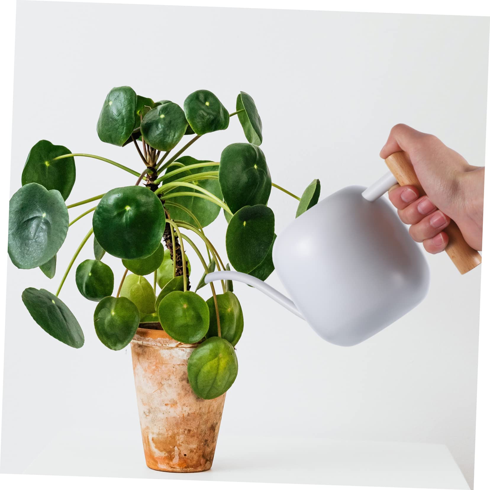 Regadera Pequeña De Largo 1.2l para Plantas Mango Ergonómico y Hervidor De Acero Inoxidable