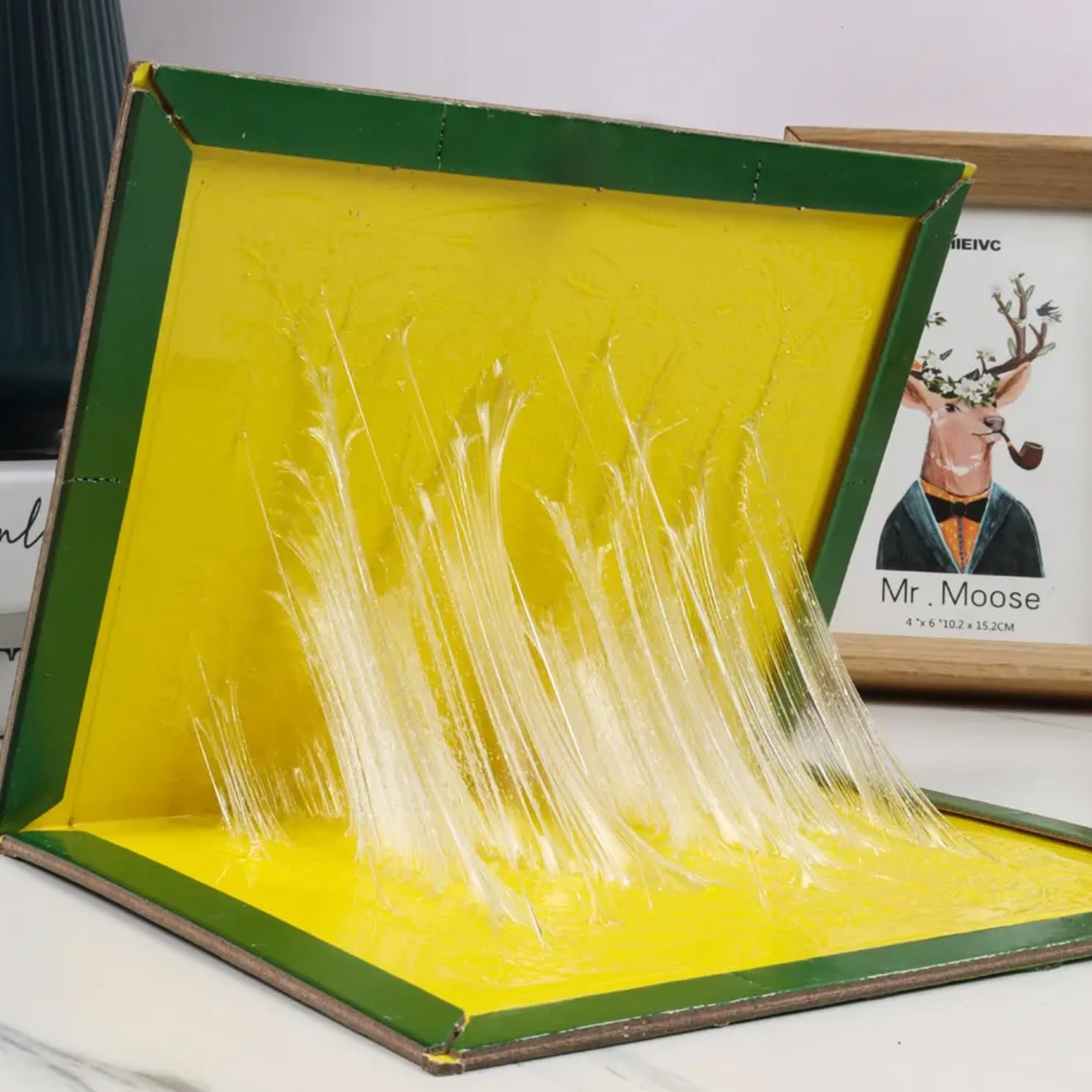 Green/Yellow Sticky Insect Trap (Green/Yellow, 6.5 x 8 Inch, Big Size) - (Pack of 1)