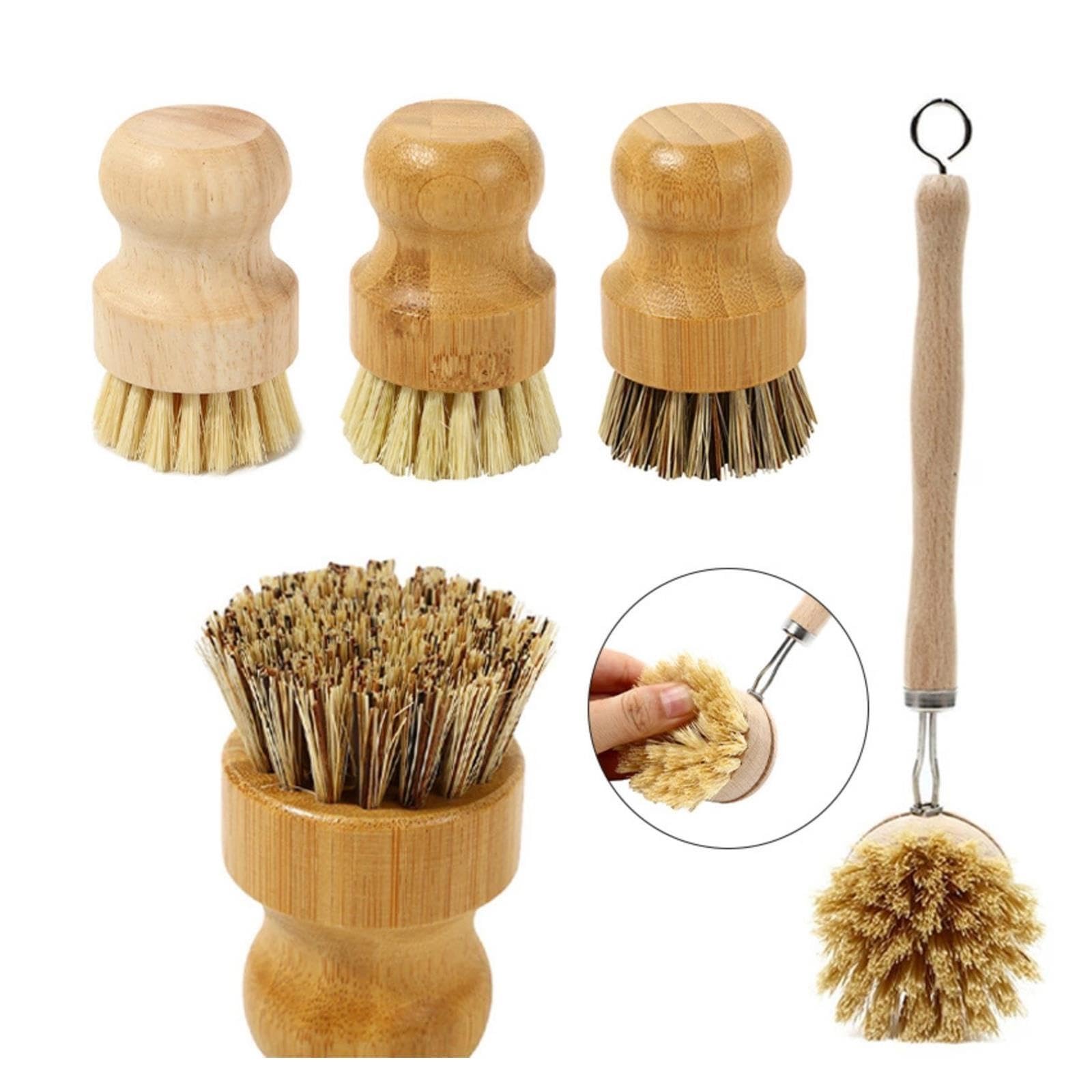 1 Set of Beech Wood Pot Brushes with Long and Short Handles pour Cuisine