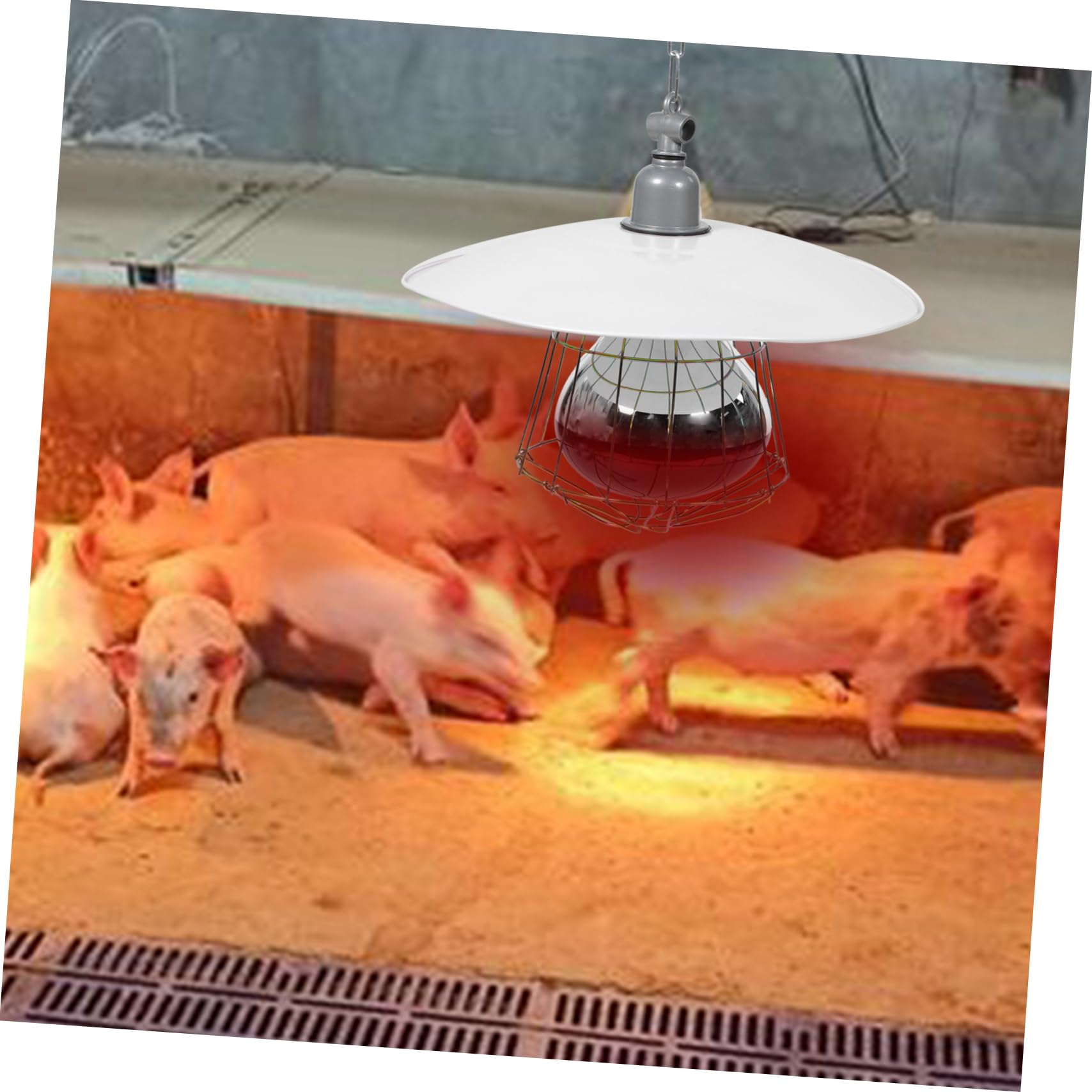 Wärmelampe Anti Verformung und Schutz vor Verbrennungen mit Metall und Aluminiumgehäuse für Nutztiere Zufällige Farbe Geeignet für Haustierkäfige und Kleine Schweineställe